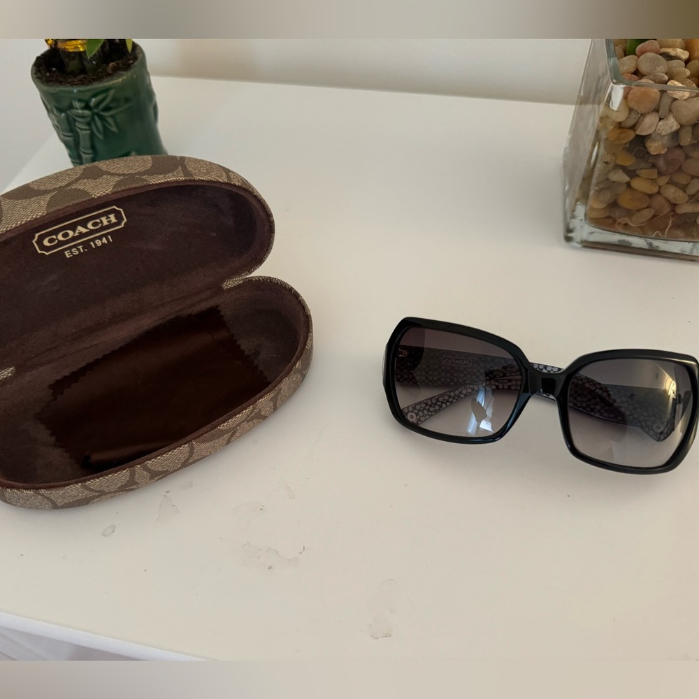 SOLD ON MERCARI Coach Alicia Sunglasses Black and Silver